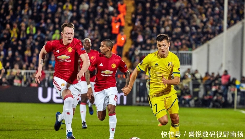 供了极好的 供了极好的