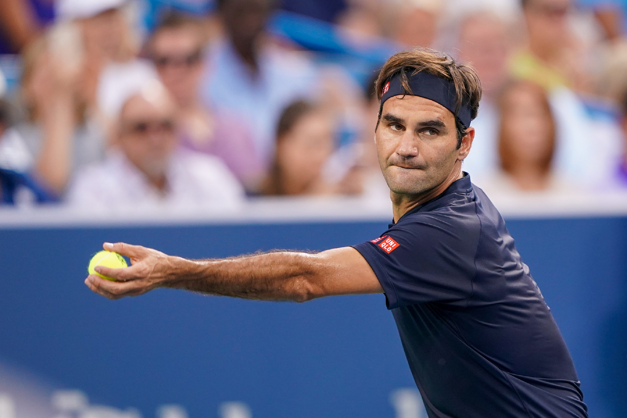 极性也符合 极性也符合